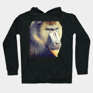 Mandrill Hoodie